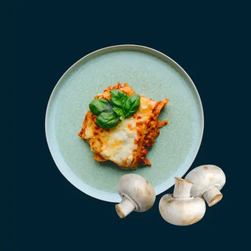 [00902] Vegan lasagna with mushrooms in salsa pasilla